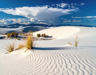 Undulating white sand dunes stretch towards distant mountains under a vibrant blue sky, punctuated by sparse desert vegetation and dramatic cloud formations