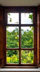 Wooden window frame with a view of out-of-focus foliage