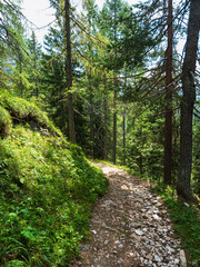 Hiking in Val Popena - Cortina d'Ampezzo - Italy