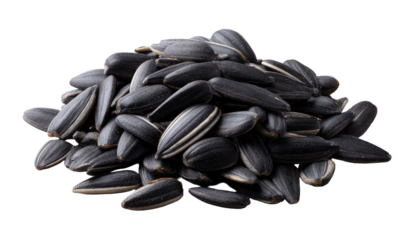 Pile of dark sunflower seeds (1)