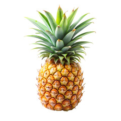 Pineapple isolated on transparent background