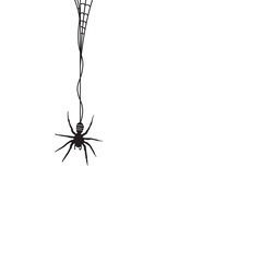 Hanging Spider Icon