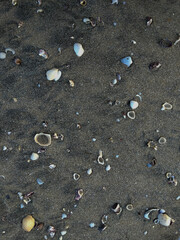 Close-up view of black sand beach with scattered seashells and small pebbles