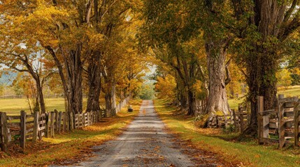 Fototapeta premium Autumnal country lane
