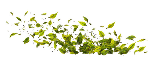 Abstract image of a vibrant, cascading arrangement of leaves