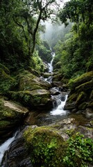 Fototapeta premium Cascade waterfall in lush forest