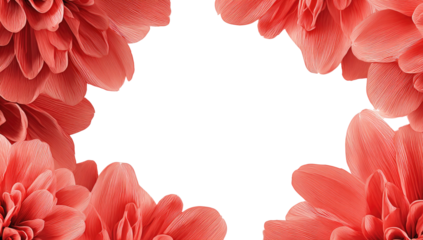 Coral flowers frame a black void