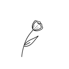 Hand Drawn Floral Line Drawing Clipart - Simple Outline Flower