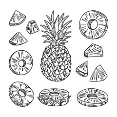 Set of vector pineapples. Sketch of pineapple slices, cubes and whole pineapple. Vector illustration.