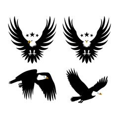 Eagle Silhouette Vektor and Illustration 