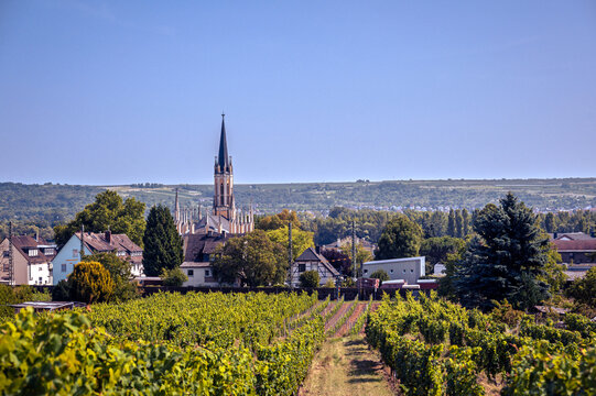 Vineyard and Church of Saint John in Erbach, Eltville am Rhein, Germany. The scene captures the harmony between nature and architecture, with rolling hills and the tranquil flow of the Rhine River.