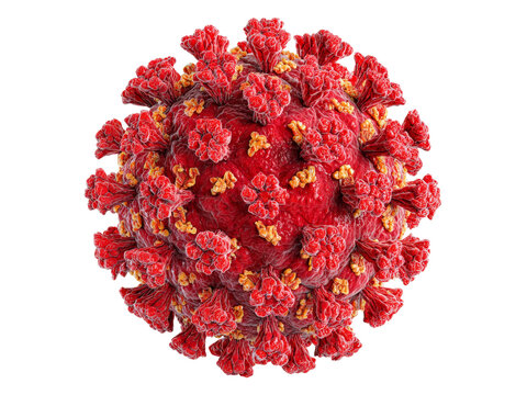 Microscopic 3d render of coronavirus sars cov 2 virus, Isolated On White Background, Png Transparent