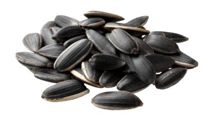 Pile of sunflower seeds (1)