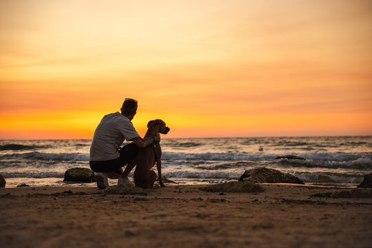 Man with his German Boxer dog sitting on the beach at sunset, looking at the sea waves under a colorful sky