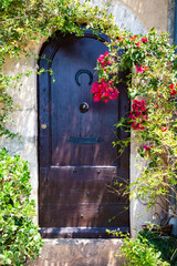 Old door surrounded by climbing red roses, with a horseshoe