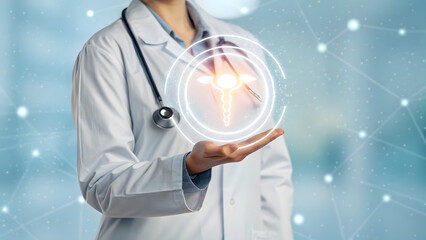 OB-GYN hologram uterus in doctor’s hand