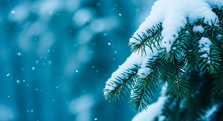 Soft snowfall on pine tree needles macro winter frosty nature background