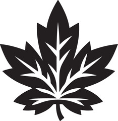 Maple leaf Canadian symbol Vector illustration