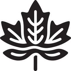 Maple leaf Canadian symbol Vector illustration