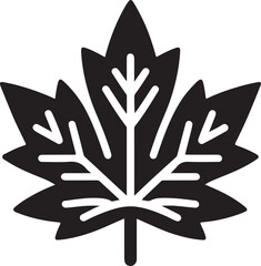 Maple leaf Canadian symbol Vector illustration