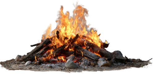 Burning campfire on a bed of stones