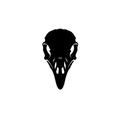 Minimalist Silhouette Bird Skull Anatomy Head Graphic Isolated Illustration
