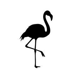 Simple Silhouette Elegant Flamingo Standing on One Leg Bird Icon