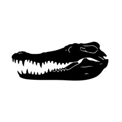 Fototapeta premium Silhouette Head Alligator Outline Sharp Teeth Wildlife Nature Animal Illustration