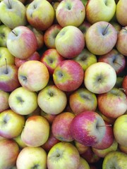 Fresh apples piled high in vibrant display.
