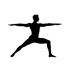 Silhouette Warrior Two Pose Detail Yoga Exercise Sport Activity