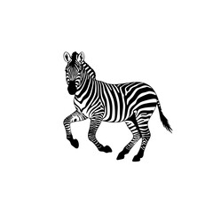 Minimalist Line Drawing Zebra Animal Illustration African Wildlife Mammal Fauna