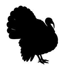Simple Silhouette Isolated Turkey Bird on White Background Illustration