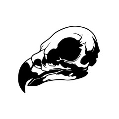 Minimalist Silhouette Bird Skull Illustration Macabre Death Concept Icon