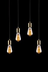 Vintage light bulbs hanging against a dark background with clear glass and filaments