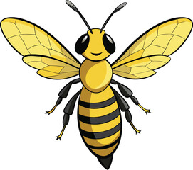 A stylized yellow and black honeybee with translucent wings insect animal vector illustration EPS file download.