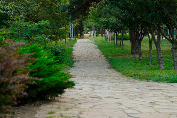 nature park city square outside space with pavement foot path walking area summer season morning