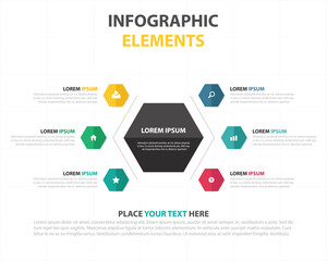 Infographic elements with hexagonal shapes and text placeholders for data visualization and presentation