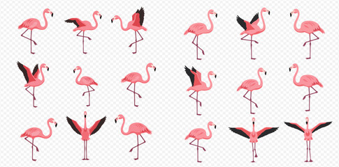 A collection of pink flamingos in various elegant poses, including standing on one leg and spreading their wings.