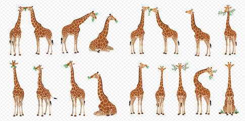 A collection of cartoon giraffes illustrated in various standing, sitting, and feeding poses, showcasing their distinctive spotted coats.
