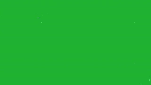 VHS Glitch Overlay on Green Screen &ndash; Noise and Distortion