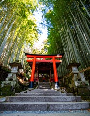 Red torii gate in a bamboo forest
