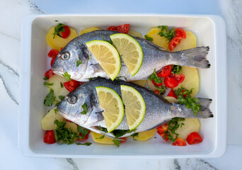 Raw sea bream fish with lemon slices, potatoes, tomatoes and parsley in baking tray