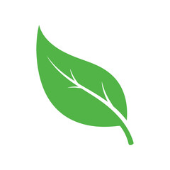 Green Leaf Illustration on White Background