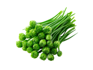 Fresh green chive blossoms bunch isolated black background, Isolated On White Background, Png Transparent