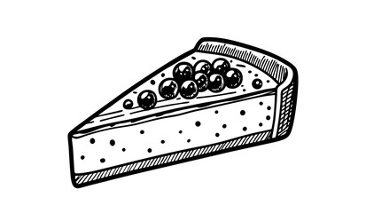 A slice of blueberry cheesecake,black and white illustration