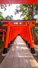 Red torii gates pathway