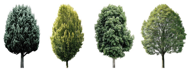 Four trees in shades of green