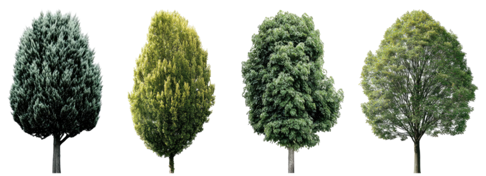 Four trees in shades of green - Powered by Adobe