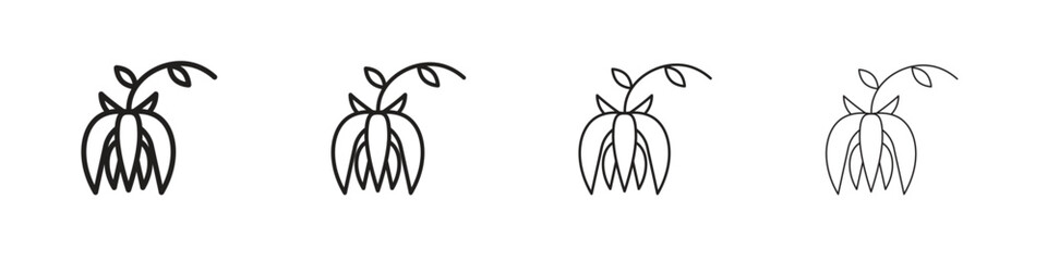 Ylang ylang icon outline trend modern simple versions