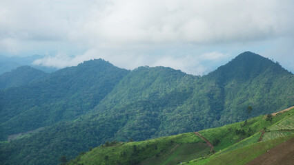 Obraz premium Greenery mountain views on cloudy day